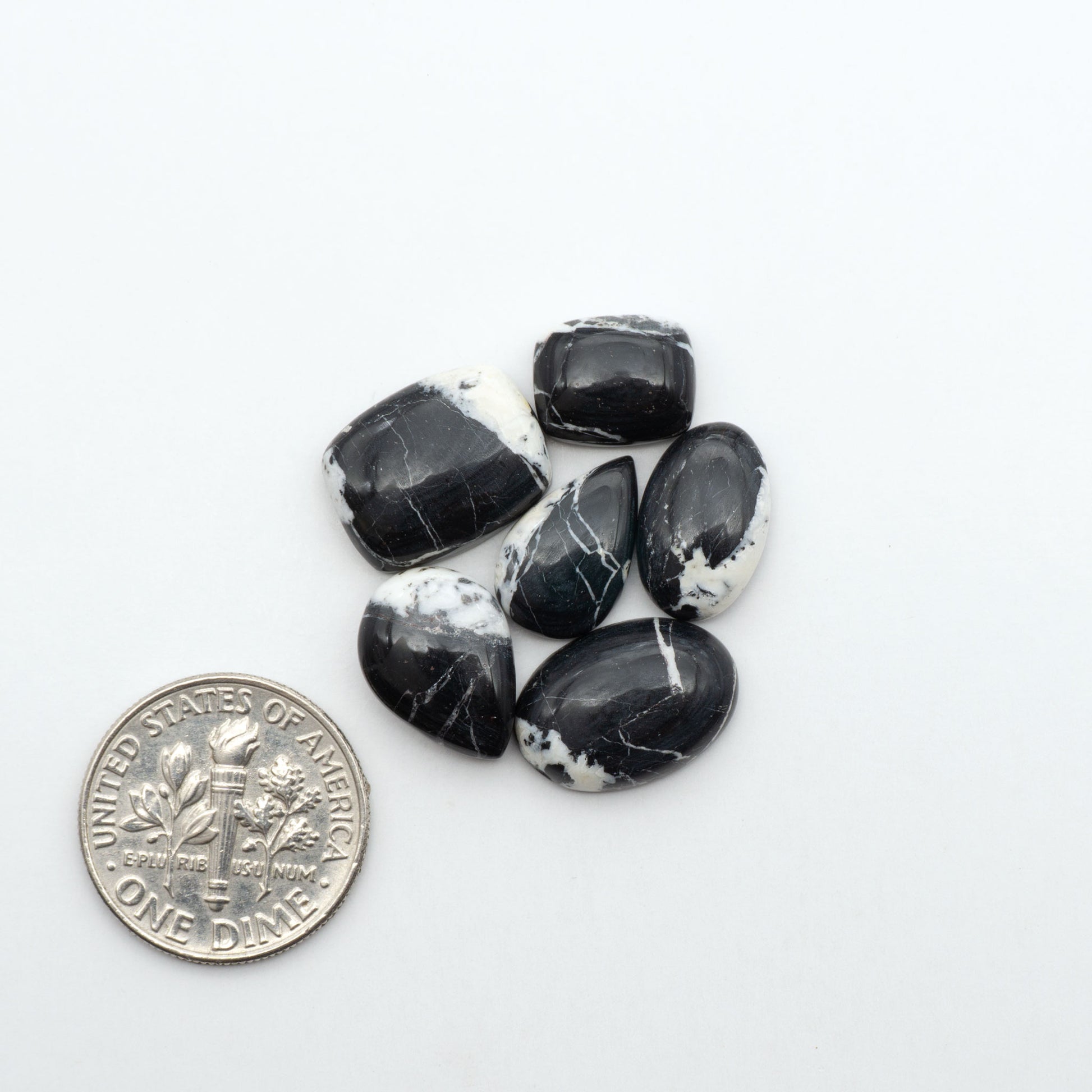 White Buffalo stone cabochons, white stone with black matrix, polished stones on a white background, with a US dime for scale
