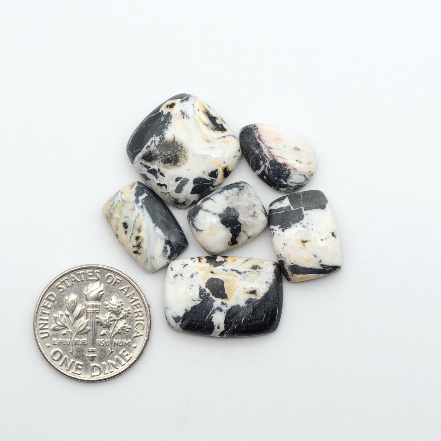 White Buffalo stone cabochons, white stone with black matrix, polished stones on a white background, with a US dime for scale