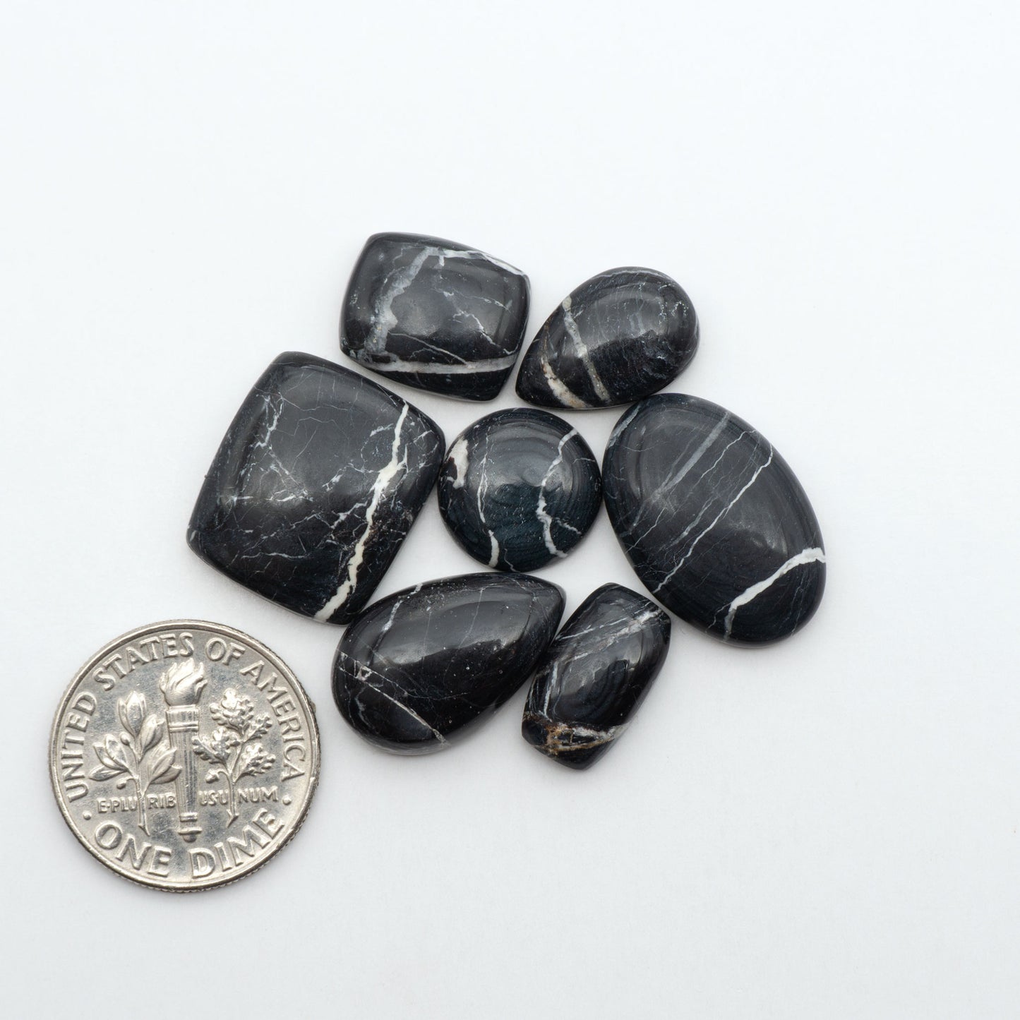 White Buffalo stone cabochons, white stone with black matrix, polished stones on a white background, with a US dime for scale