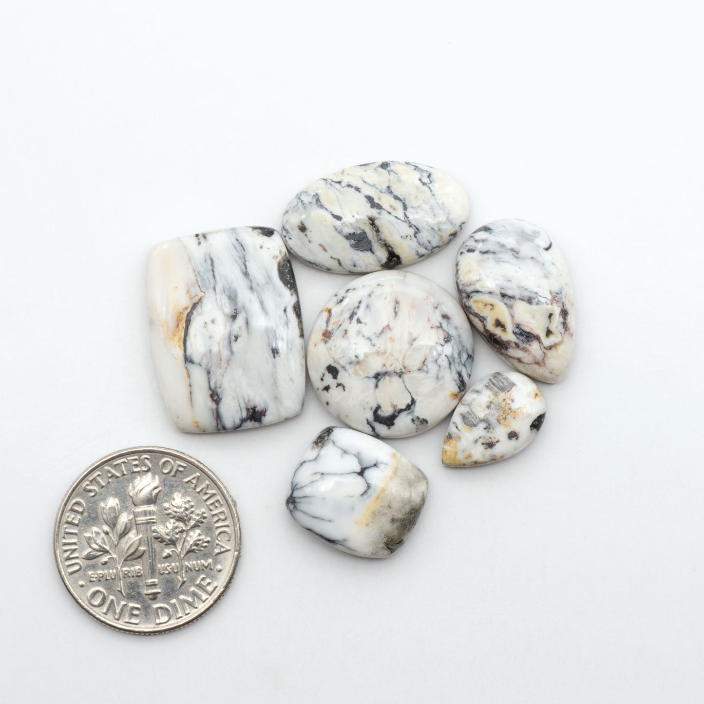 White Buffalo stone cabochons, white stone with black matrix, polished stones on a white background, with a US dime for scale