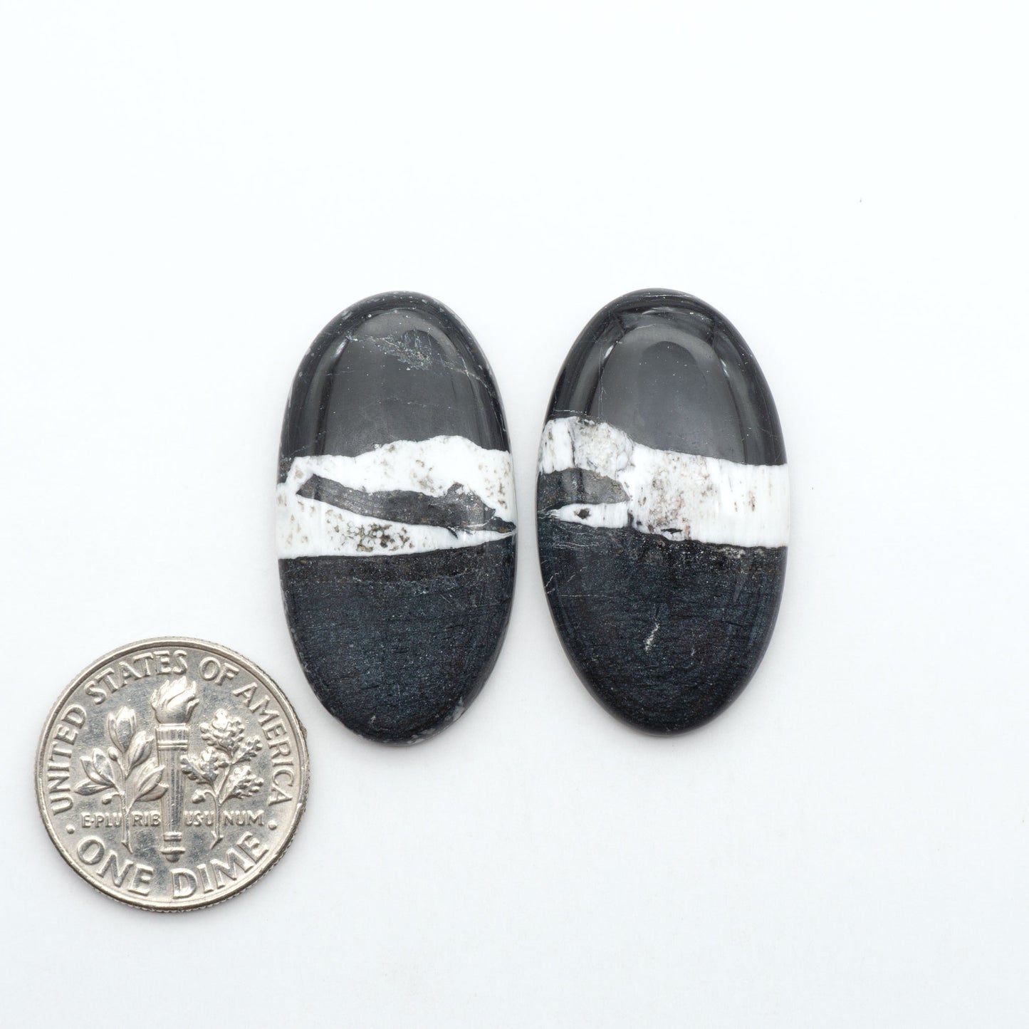 White Buffalo stone cabochons, white stone with black matrix, polished stones on a white background, with a US dime for scale