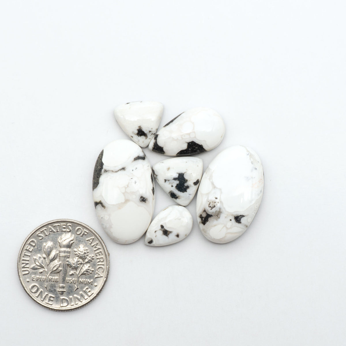 White Buffalo stone cabochons, white stone with black matrix, polished stones on a white background, with a US dime for scale