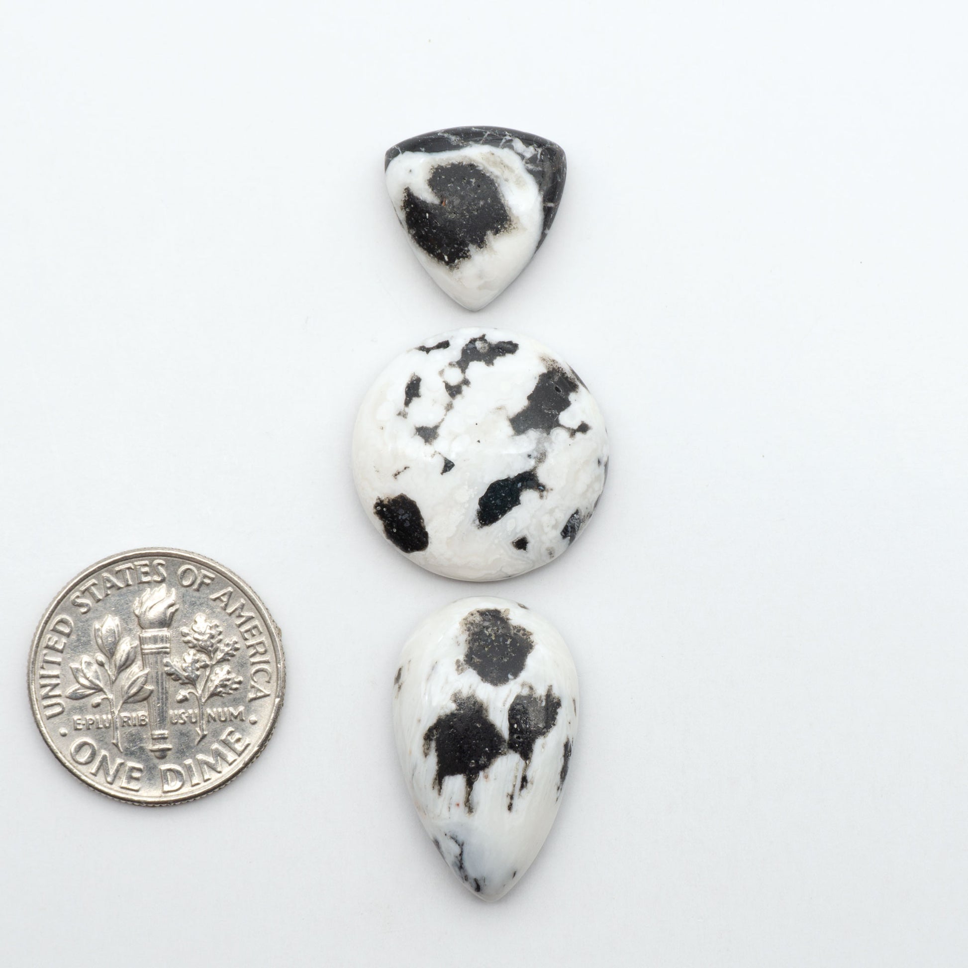 White Buffalo stone cabochons, white stone with black matrix, polished stones on a white background, with a US dime for scale