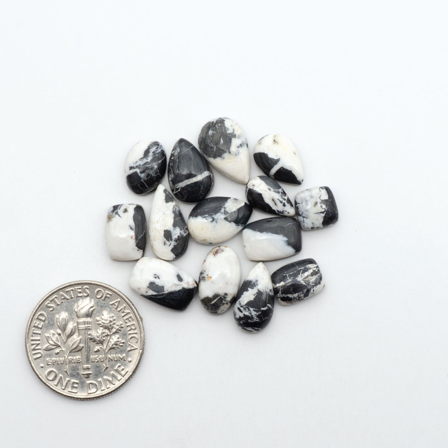 White Buffalo stone cabochons, white stone with black matrix, polished stones on a white background, with a US dime for scale
