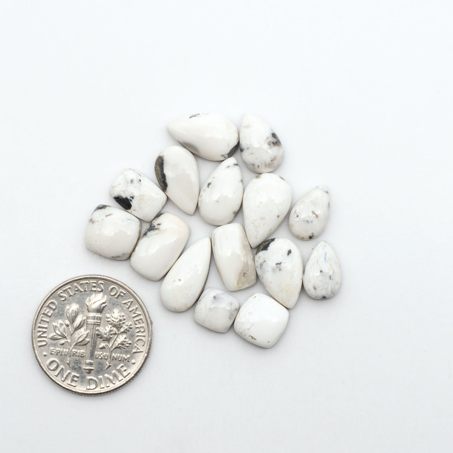 White Buffalo stone cabochons, white stone with black matrix, polished stones on a white background, with a US dime for scale