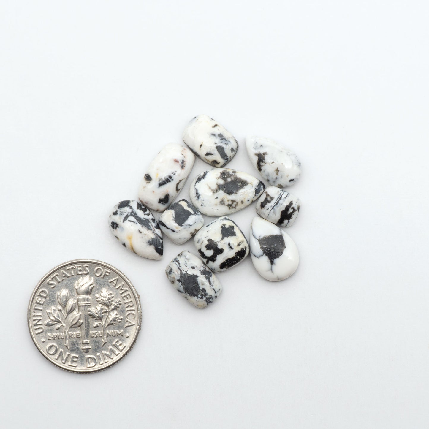 White Buffalo stone cabochons, white stone with black matrix, polished stones on a white background, with a US dime for scale