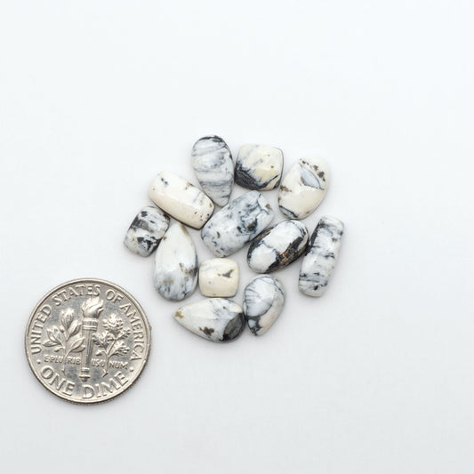 White Buffalo stone cabochons, white stone with black matrix, polished stones on a white background, with a US dime for scale
