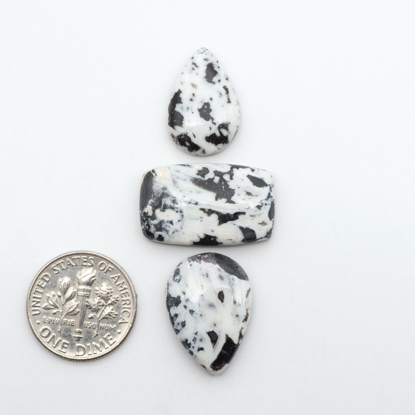 White Buffalo stone cabochons, white stone with black matrix, polished stones on a white background, with a US dime for scale