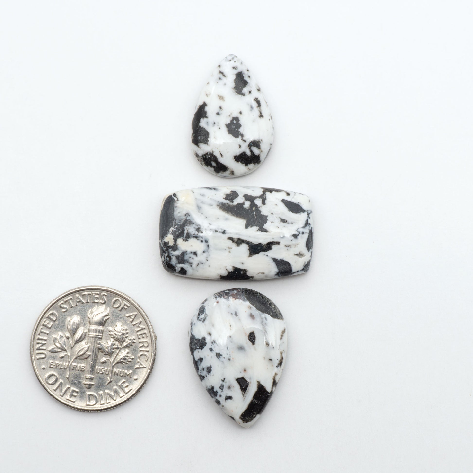 White Buffalo stone cabochons, white stone with black matrix, polished stones on a white background, with a US dime for scale