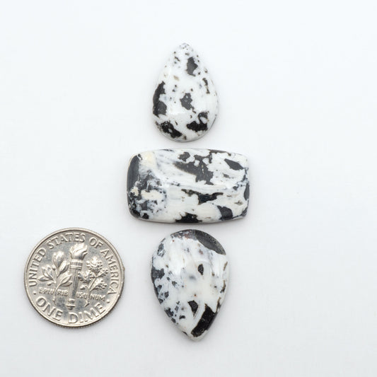 White Buffalo stone cabochons, white stone with black matrix, polished stones on a white background, with a US dime for scale