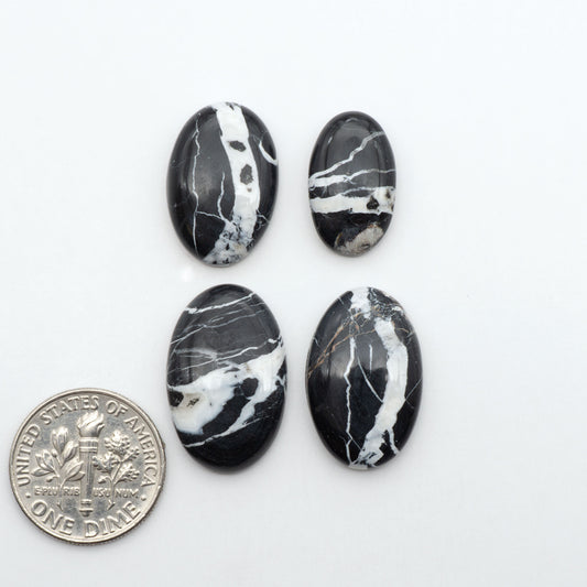 White Buffalo stone cabochons, white stone with black matrix, polished stones on a white background, with a US dime for scale