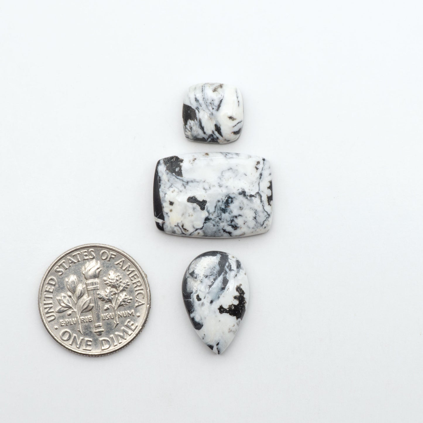 White Buffalo stone cabochons, white stone with black matrix, polished stones on a white background, with a US dime for scale