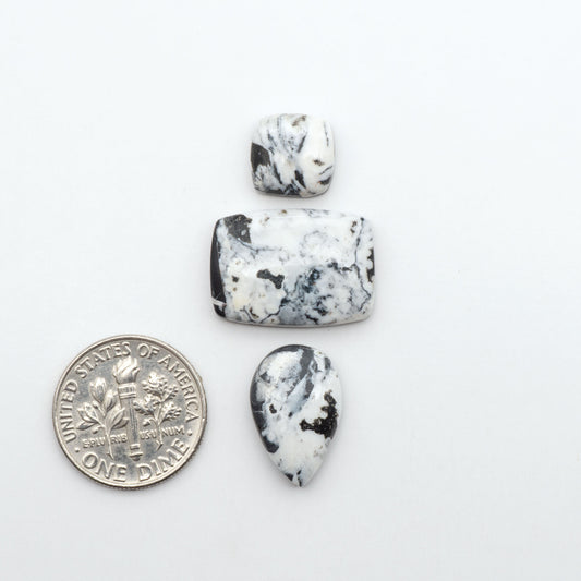White Buffalo stone cabochons, white stone with black matrix, polished stones on a white background, with a US dime for scale