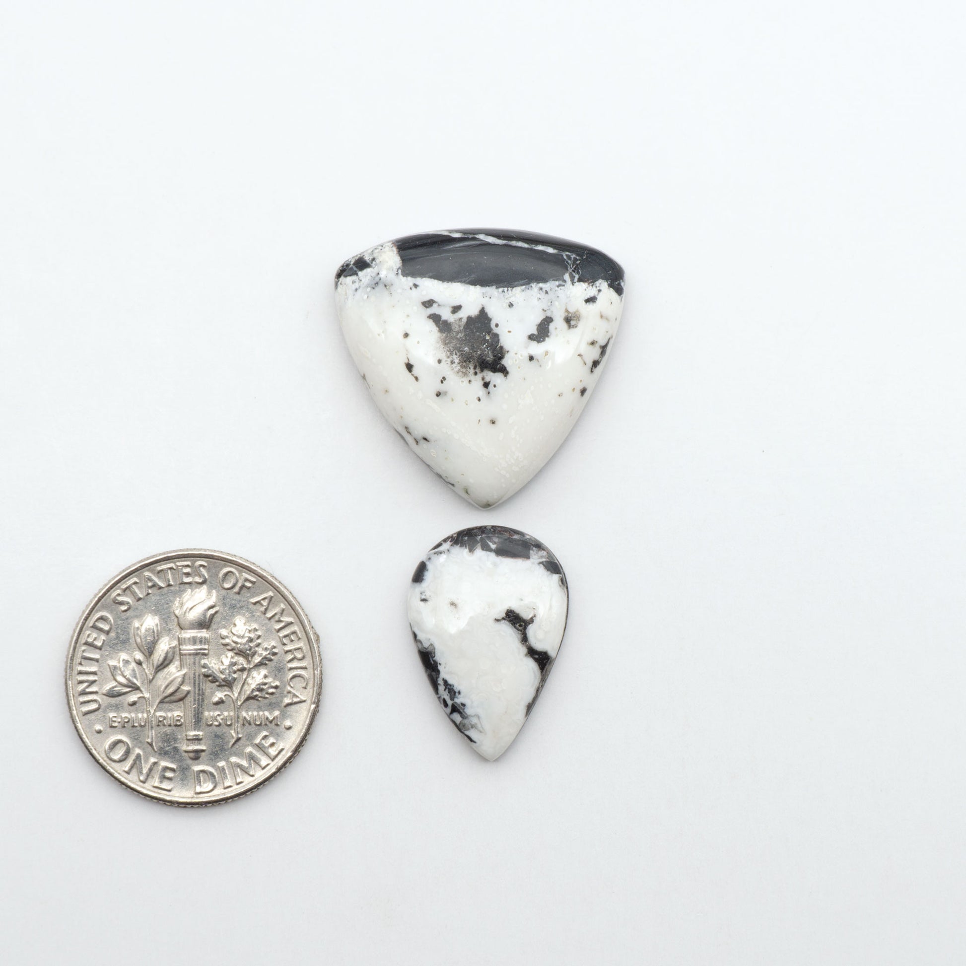 White Buffalo stone cabochons, white stone with black matrix, polished stones on a white background, with a US dime for scale