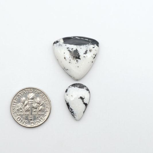 White Buffalo stone cabochons, white stone with black matrix, polished stones on a white background, with a US dime for scale