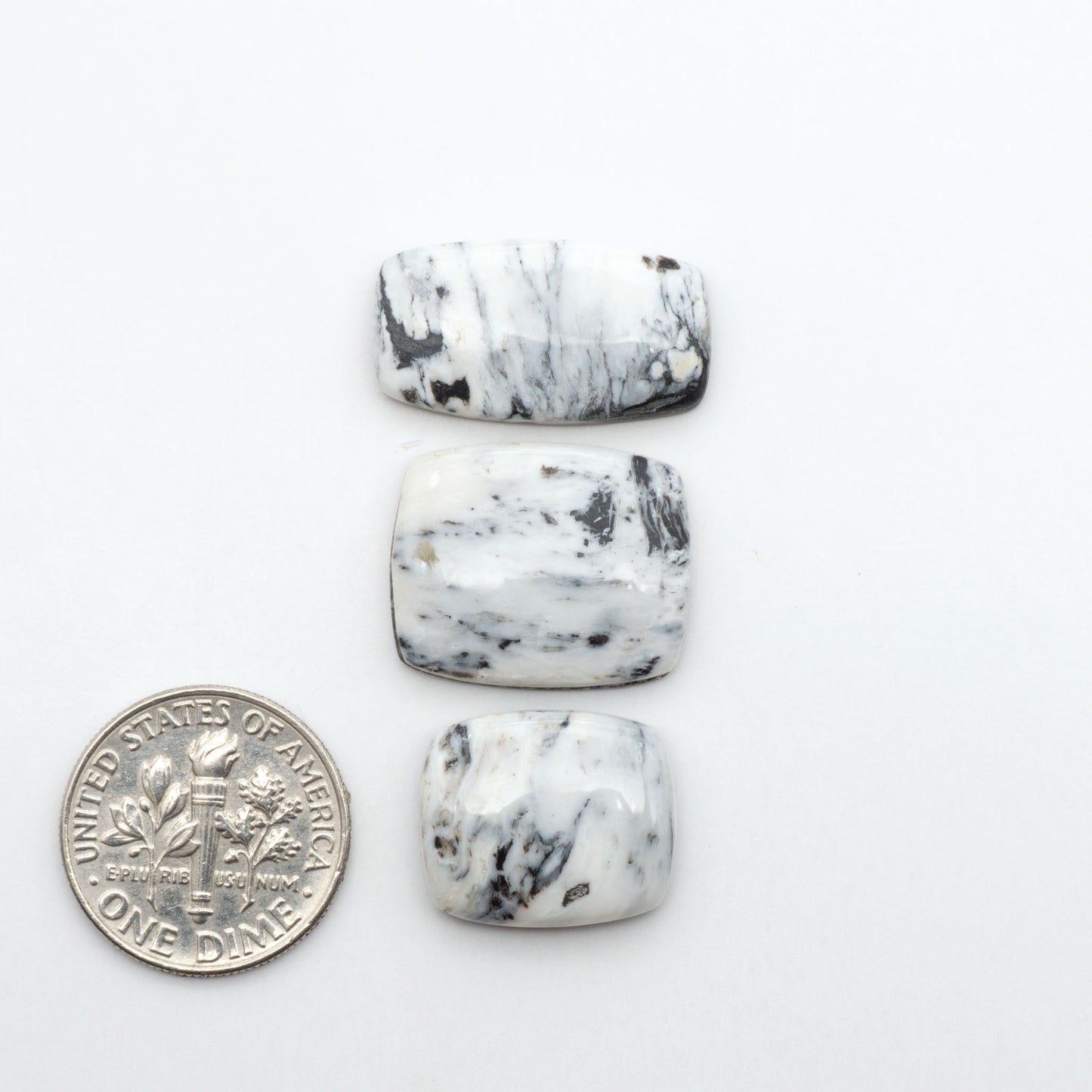 White Buffalo stone cabochons, white stone with black matrix, polished stones on a white background, with a US dime for scale