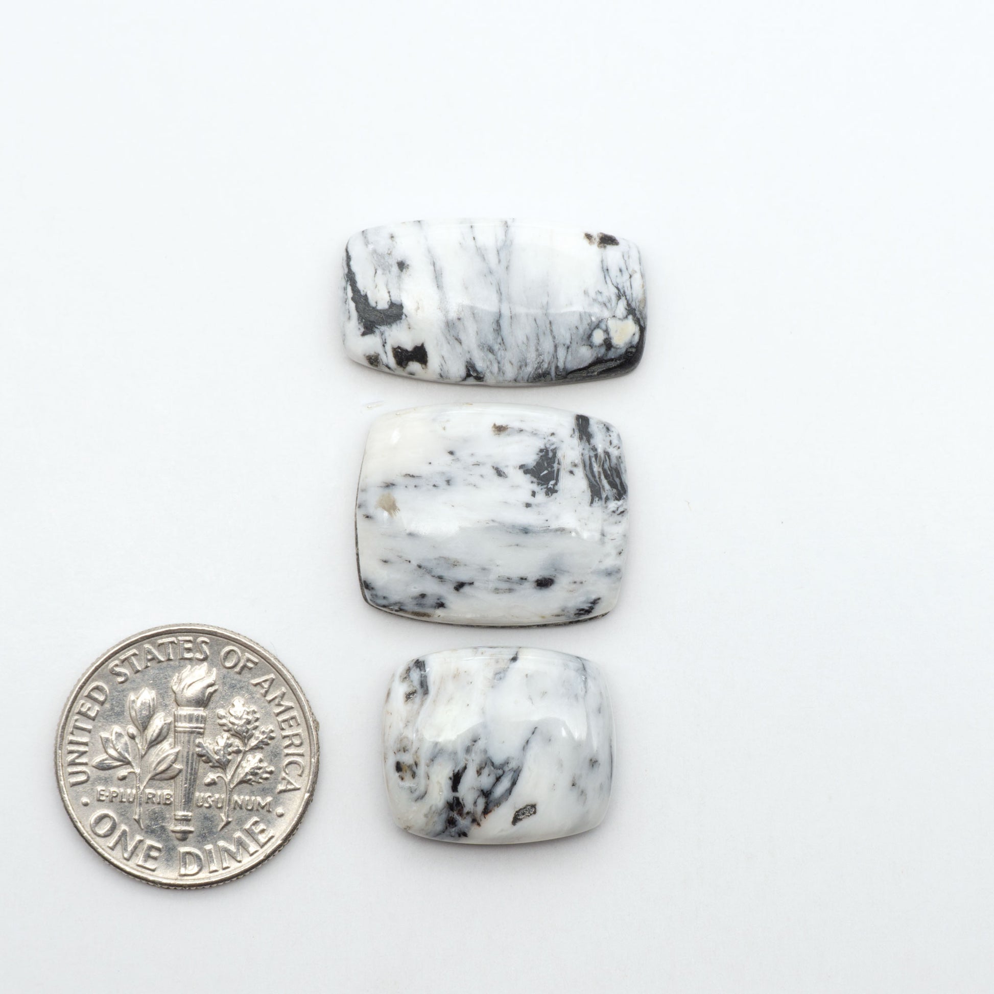 White Buffalo stone cabochons, white stone with black matrix, polished stones on a white background, with a US dime for scale