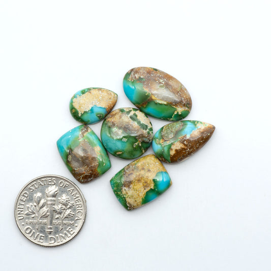 Sonoran Mountain Turquoise cabochons, blue-green color with natural matrix, polished stones on a white background, with a US dime for scale