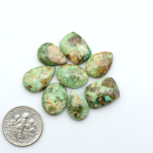 Sonoran Mountain Turquoise cabochons, blue-green color with natural matrix, polished stones on a white background, with a US dime for scale
