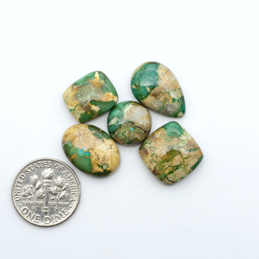 Sonoran Mountain Turquoise cabochons, blue-green color with natural matrix, polished stones on a white background, with a US dime for scale