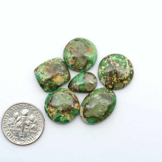Sonoran Mountain Turquoise cabochons, blue-green color with natural matrix, polished stones on a white background, with a US dime for scale