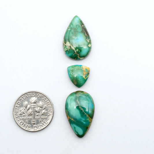 Sonoran Mountain Turquoise cabochons, blue-green color with natural matrix, polished stones on a white background, with a US dime for scale