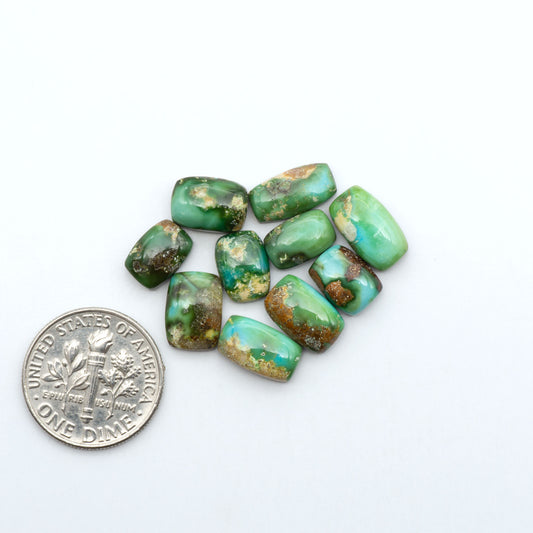 Sonoran Mountain Turquoise cabochons, blue-green color with natural matrix, polished stones on a white background, with a US dime for scale