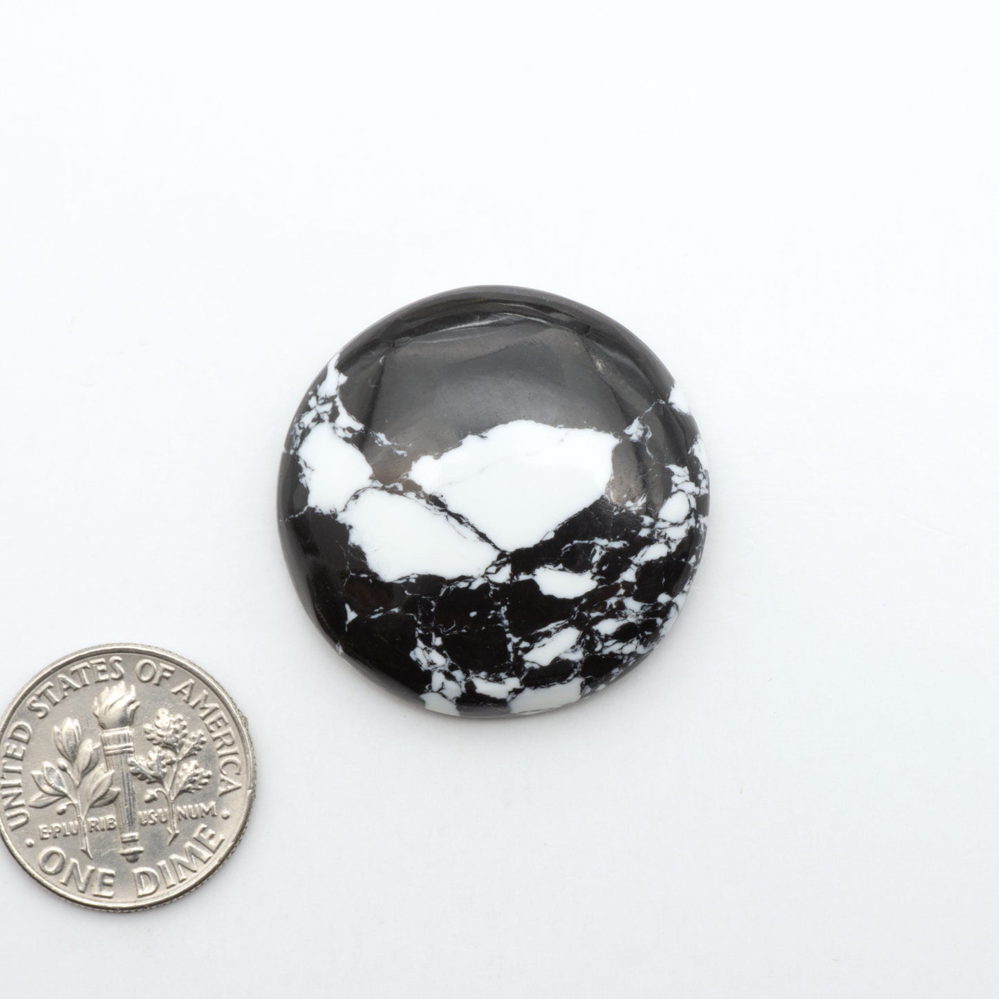 White Buffalo composite cabochons, black and white gemstones on a white background with a US dime for scale