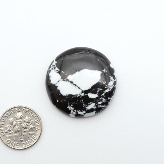 White Buffalo composite cabochons, black and white gemstones on a white background with a US dime for scale