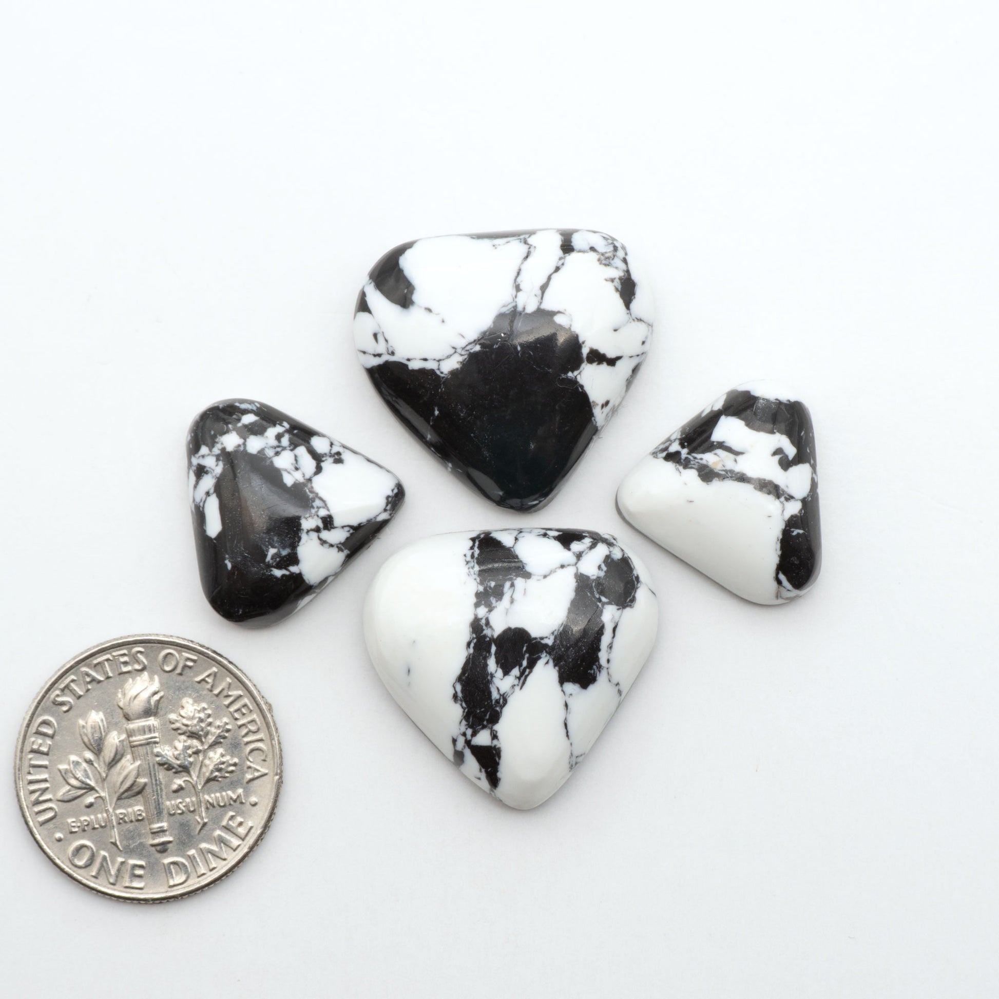 White Buffalo composite cabochons, black and white gemstones on a white background with a US dime for scale