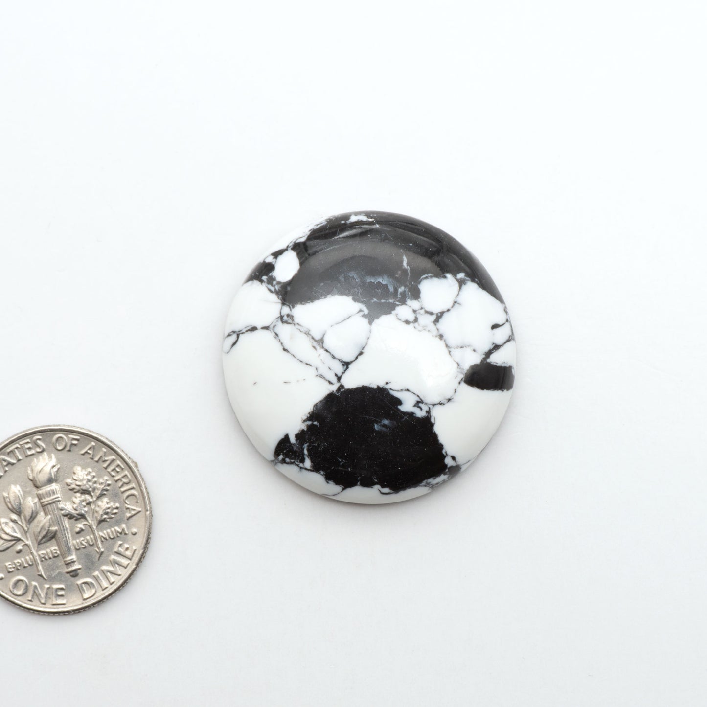 White Buffalo composite cabochons, black and white gemstones on a white background with a US dime for scale