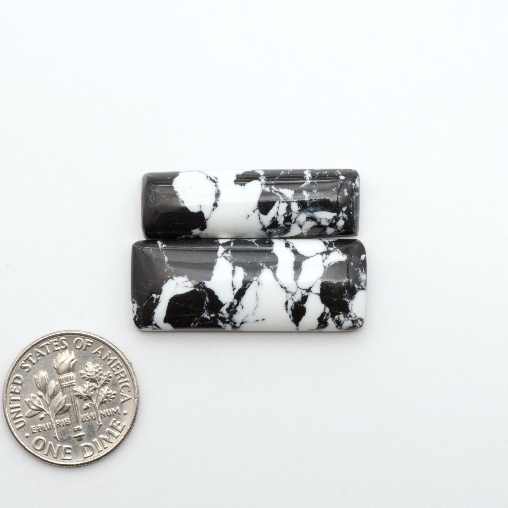 White Buffalo composite cabochons, black and white gemstones on a white background with a US dime for scale