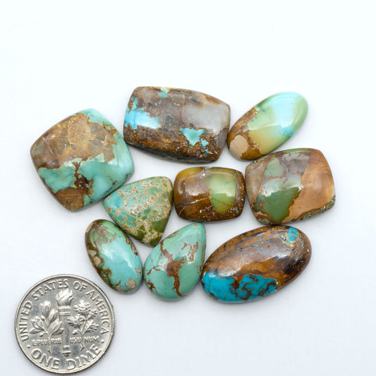 Royston Turquoise cabochons, blue-green color with natural matrix, polished stones on a white background, with a US dime for scale