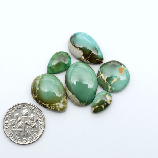 Royston Turquoise cabochons, blue-green color with natural matrix, polished stones on a white background, with a US dime for scale