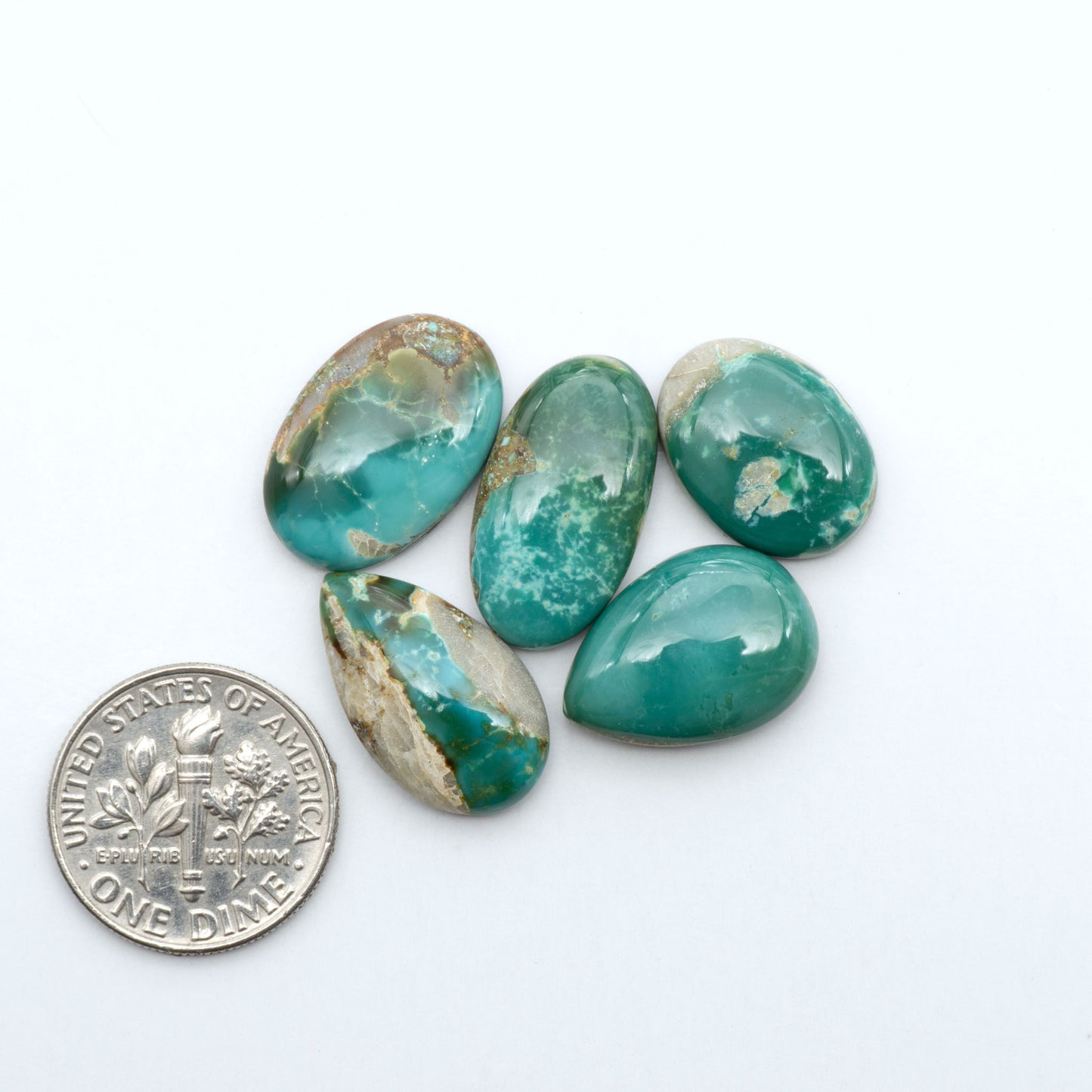 Royston Turquoise cabochons, blue-green color with natural matrix, polished stones on a white background, with a US dime for scale