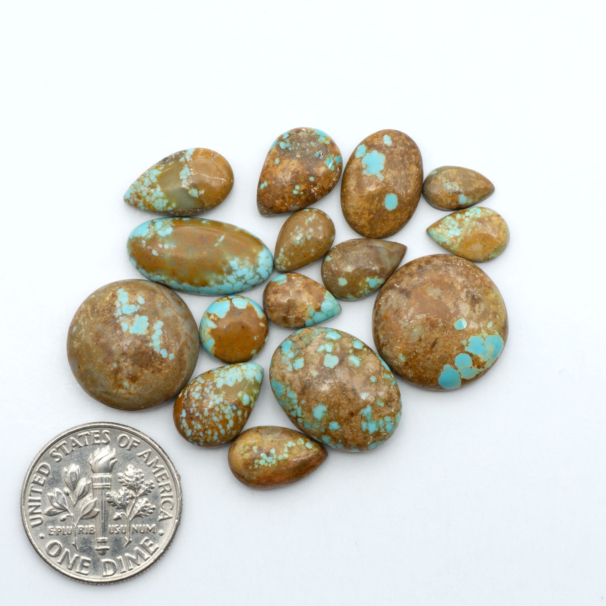 Number 8 Turquoise cabochons, blue and green color with brown matrix, polished stones on a white background, with a US dime for scale