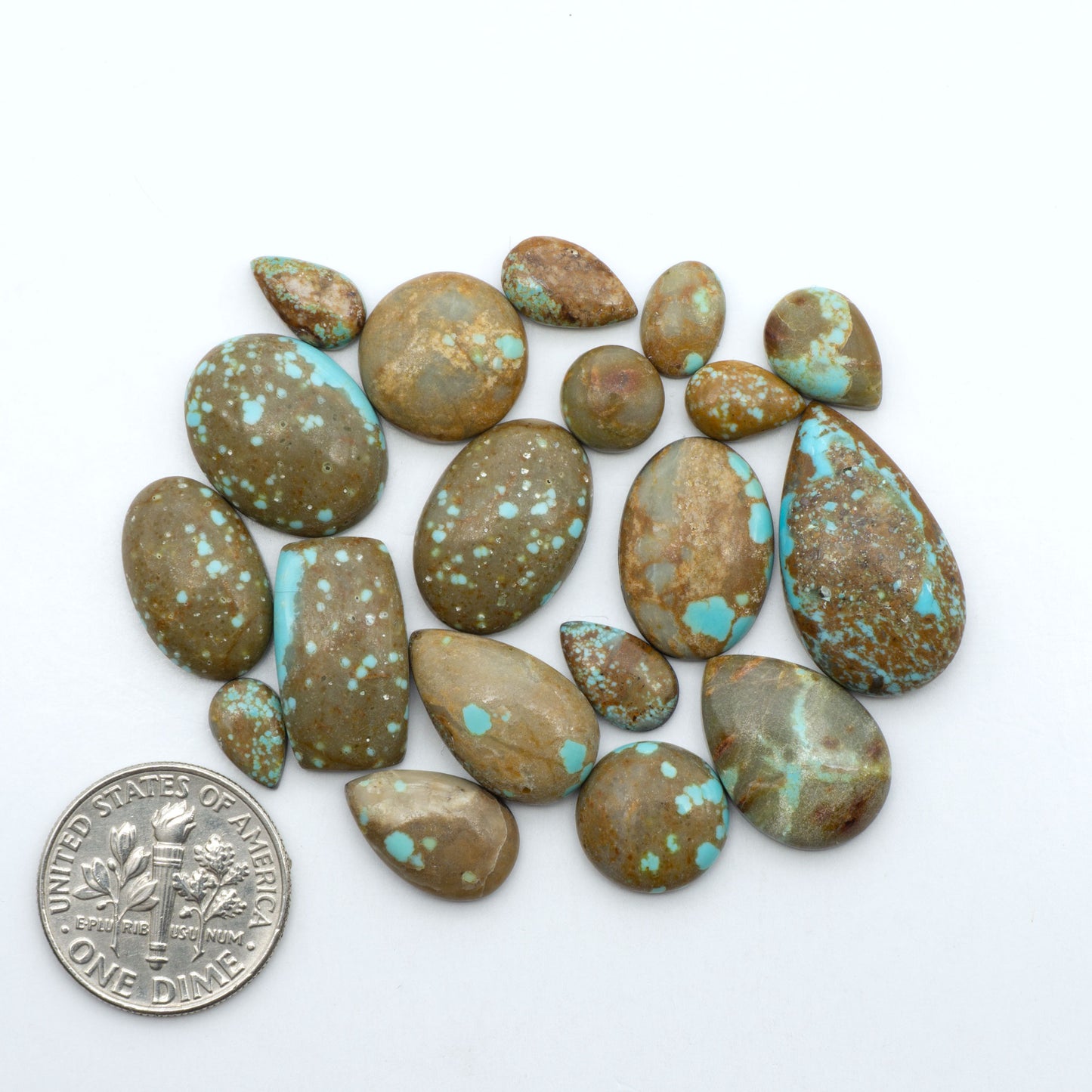 Number 8 Turquoise cabochons, blue and green color with brown matrix, polished stones on a white background, with a US dime for scale
