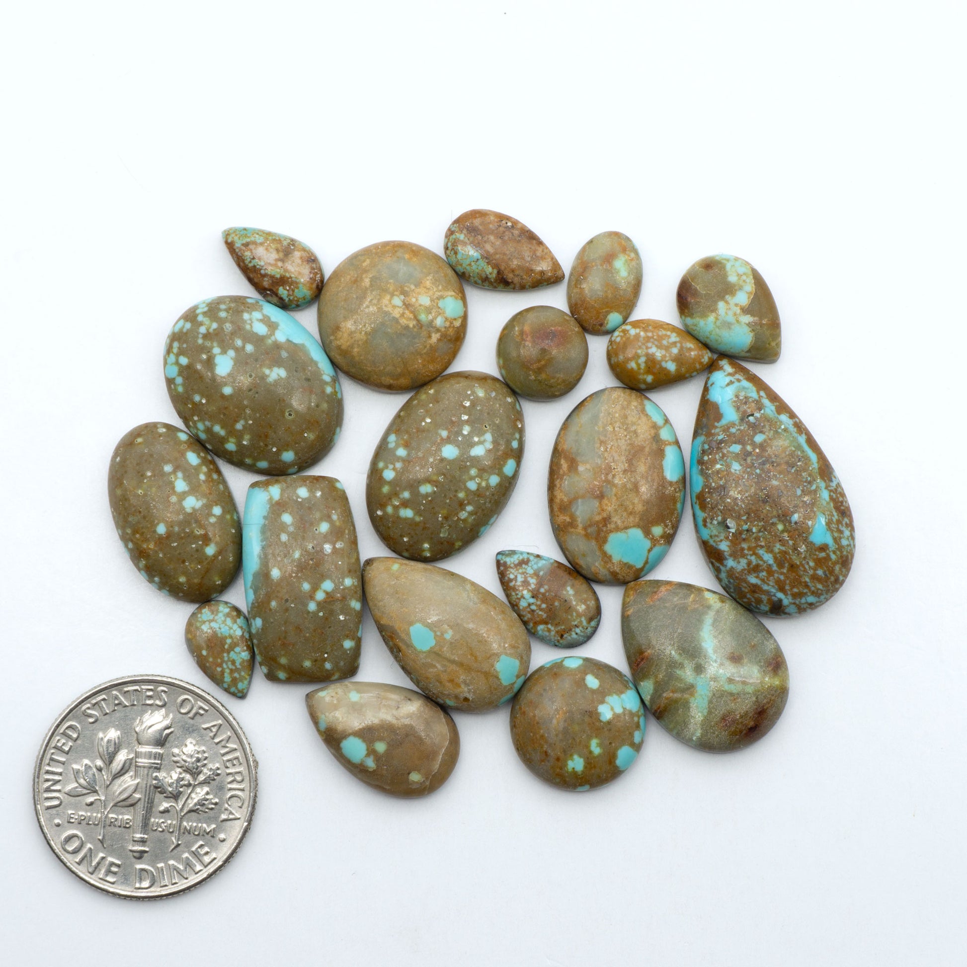 Number 8 Turquoise cabochons, blue and green color with brown matrix, polished stones on a white background, with a US dime for scale