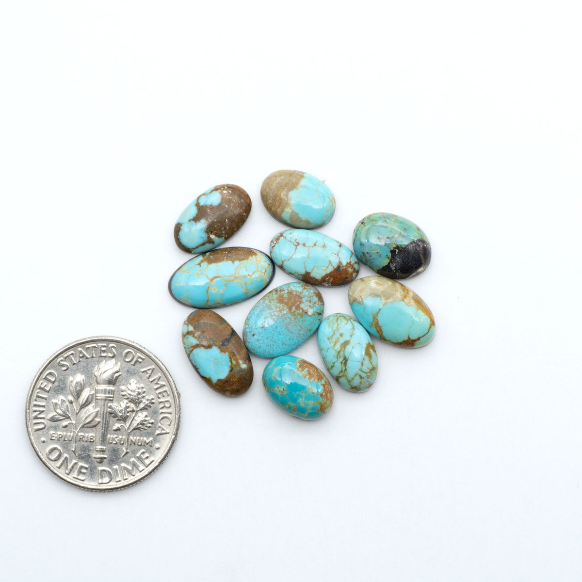 Number 8 Turquoise cabochons, blue and green color with brown matrix, polished stones on a white background, with a US dime for scale