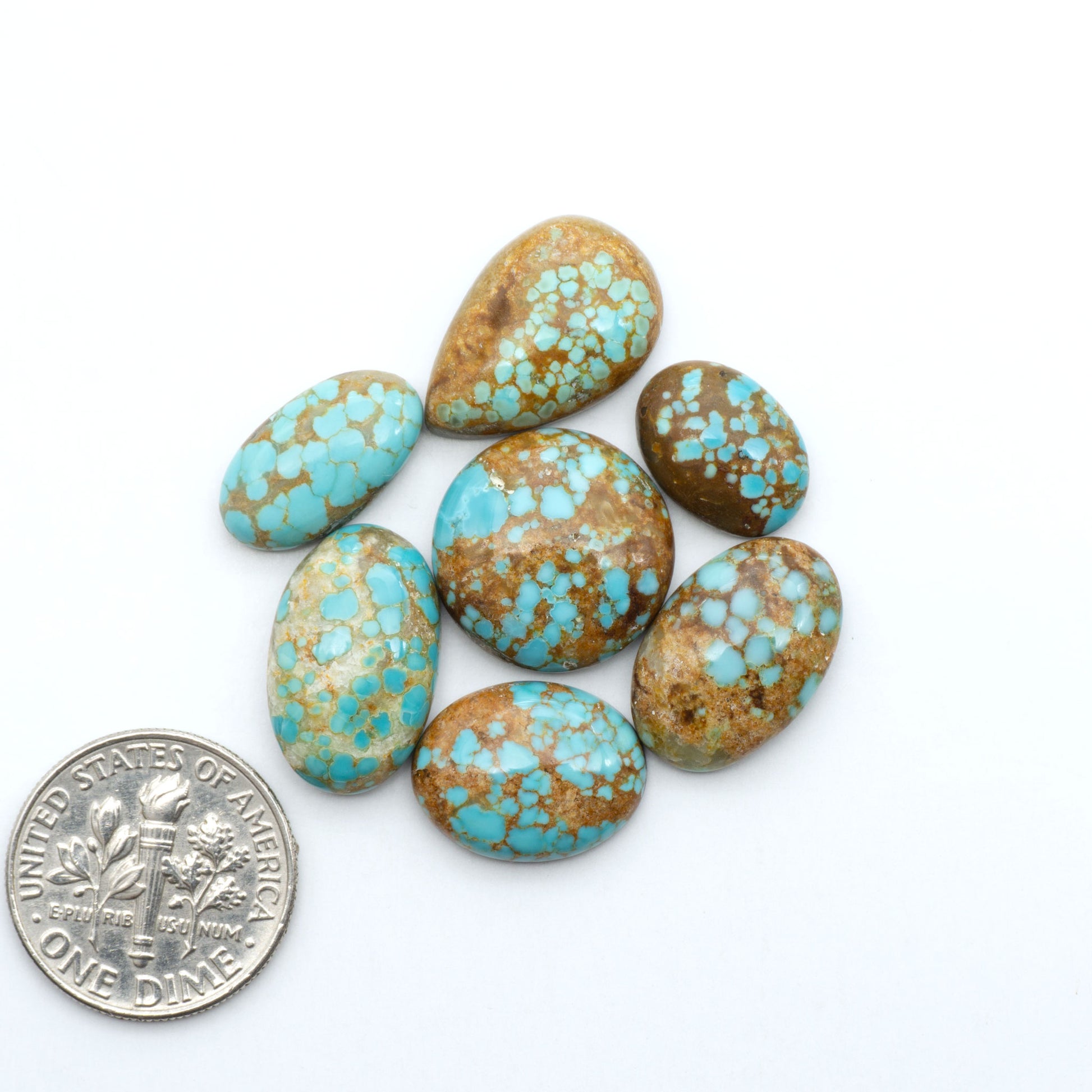 Number 8 Turquoise cabochons, blue and green color with brown matrix, polished stones on a white background, with a US dime for scale