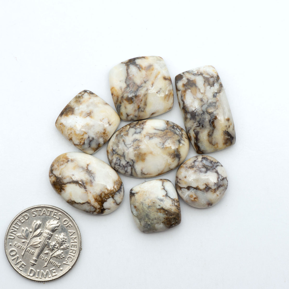 Wild Horse Magnesite cabochons, white gemstones with brown matrix on a white background, with a US dime for scale