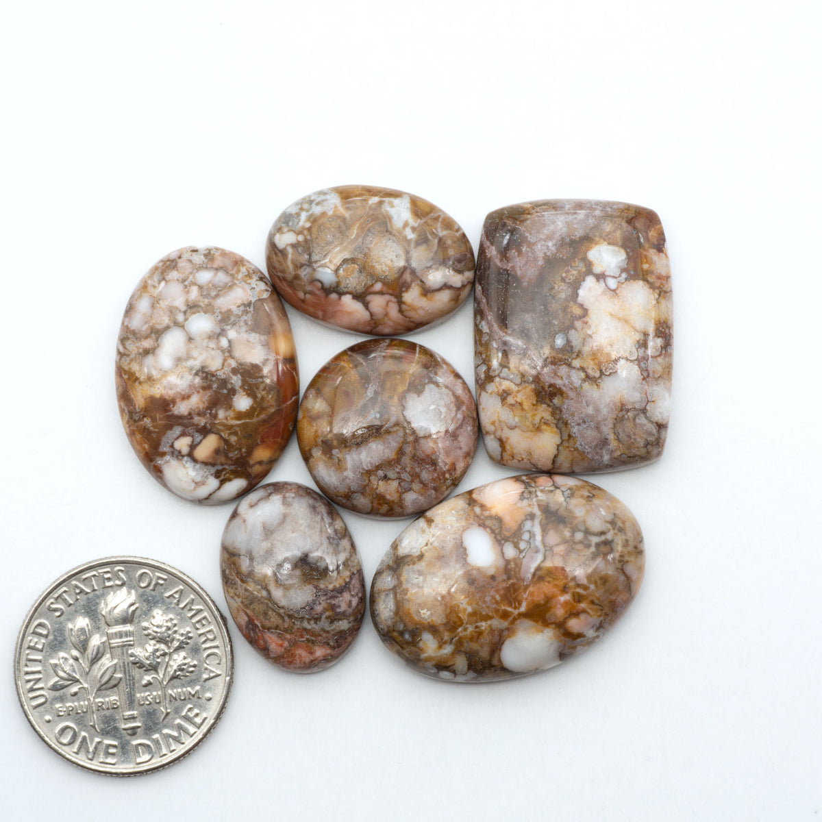 Wild Horse Magnesite cabochons, white gemstones with brown matrix on a white background, with a US dime for scale