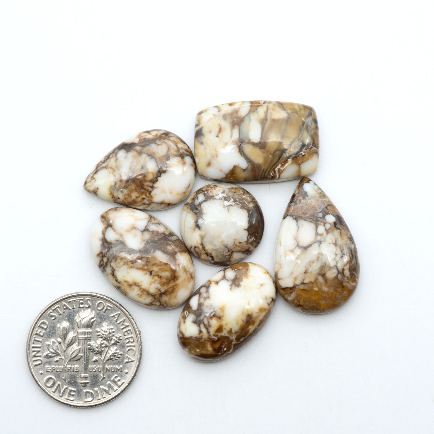 Wild Horse Magnesite cabochons, white gemstones with brown matrix on a white background, with a US dime for scale