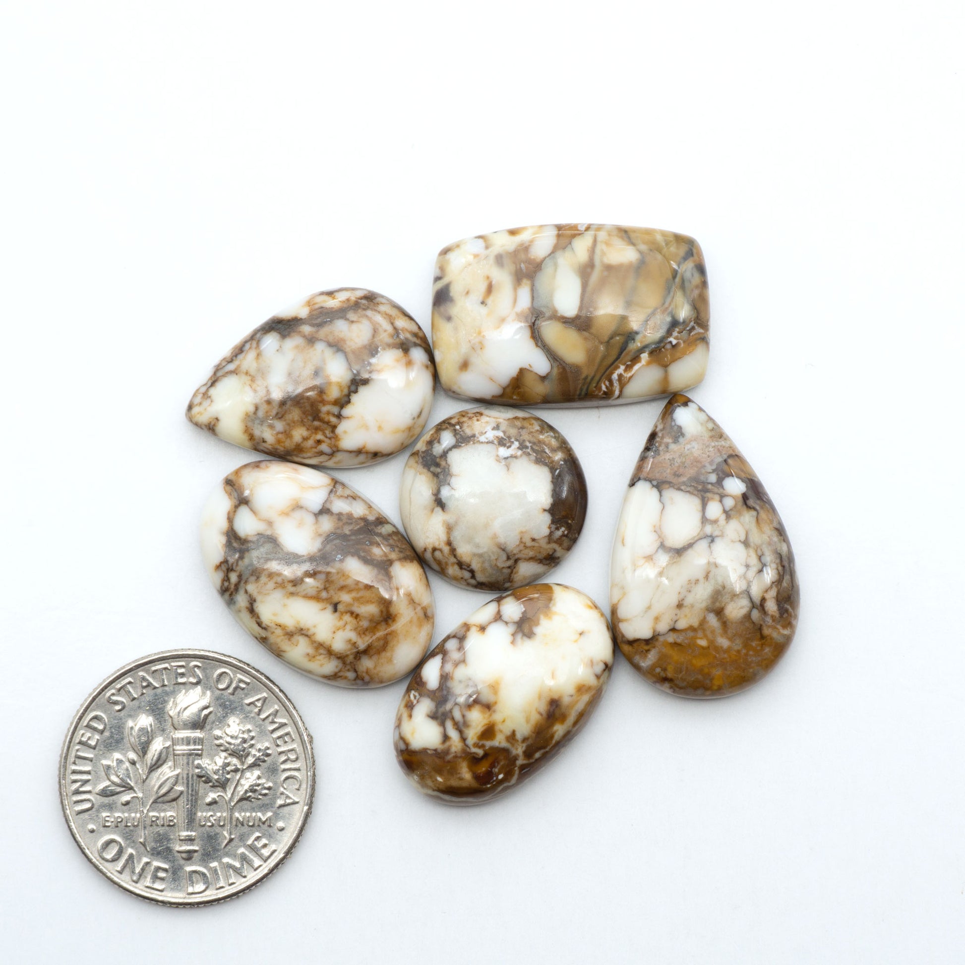 Wild Horse Magnesite cabochons, white gemstones with brown matrix on a white background, with a US dime for scale