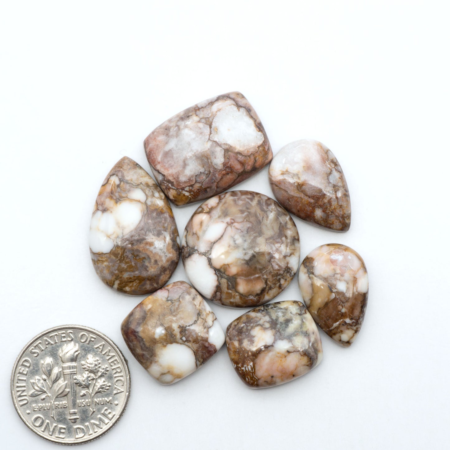 Wild Horse Magnesite cabochons, white gemstones with brown matrix on a white background, with a US dime for scale