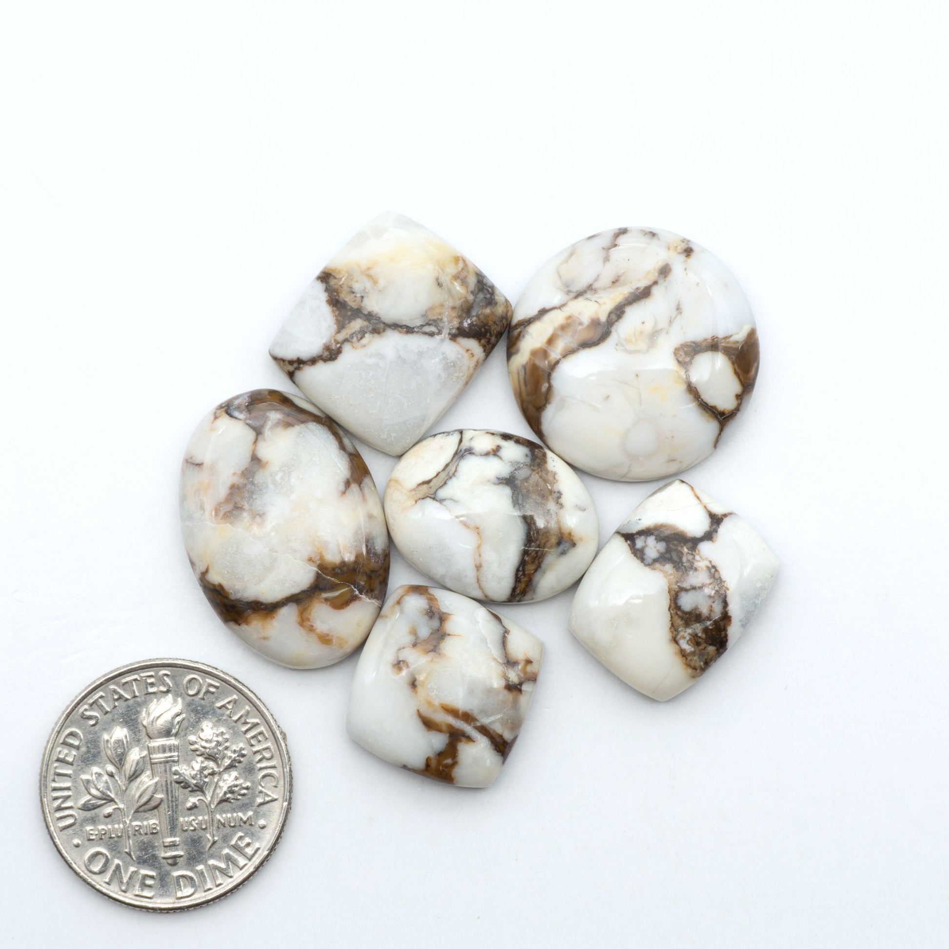 Wild Horse Magnesite cabochons, white gemstones with brown matrix on a white background, with a US dime for scale