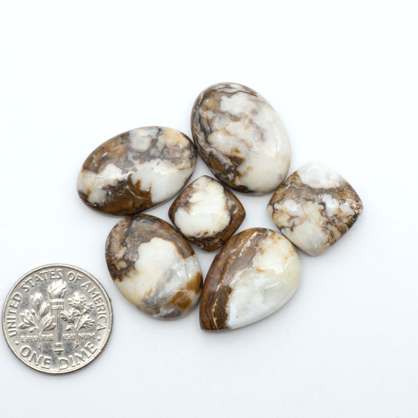 Wild Horse Magnesite cabochons, white gemstones with brown matrix on a white background, with a US dime for scale