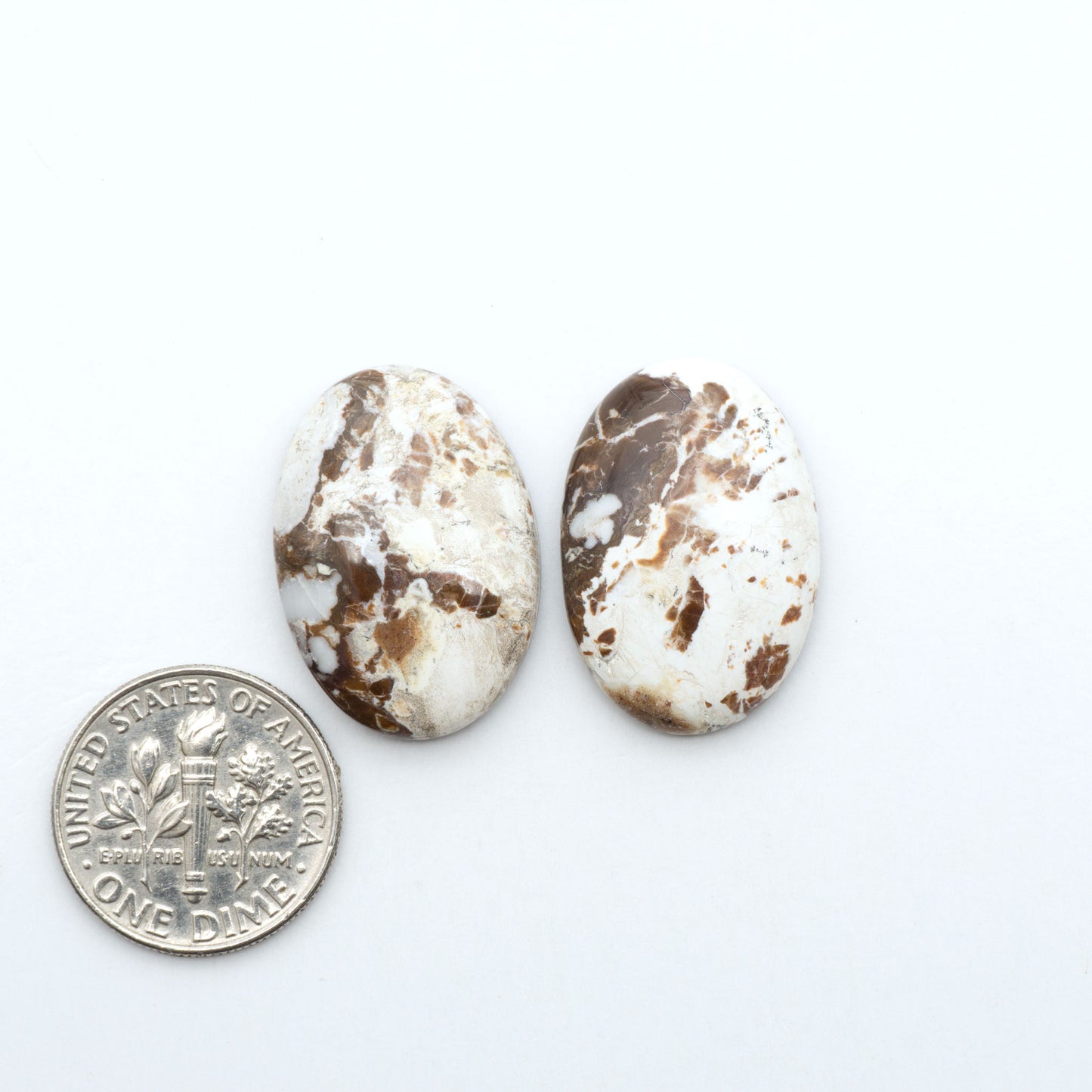 Wild Horse Magnesite cabochons, white gemstones with brown matrix on a white background, with a US dime for scale