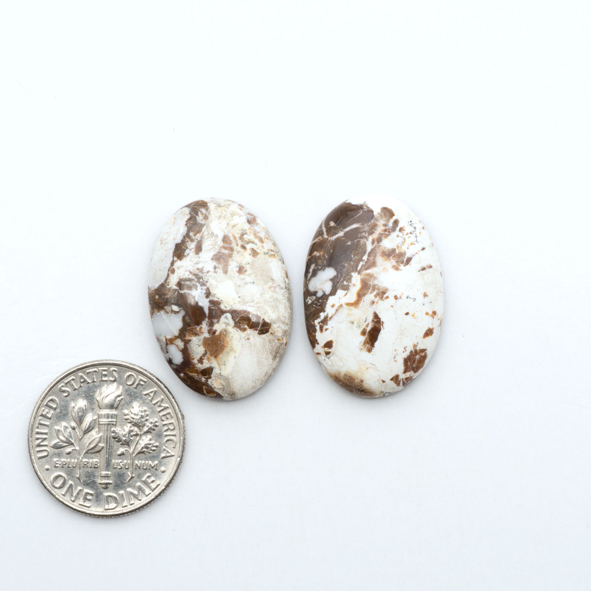 Wild Horse Magnesite cabochons, white gemstones with brown matrix on a white background, with a US dime for scale