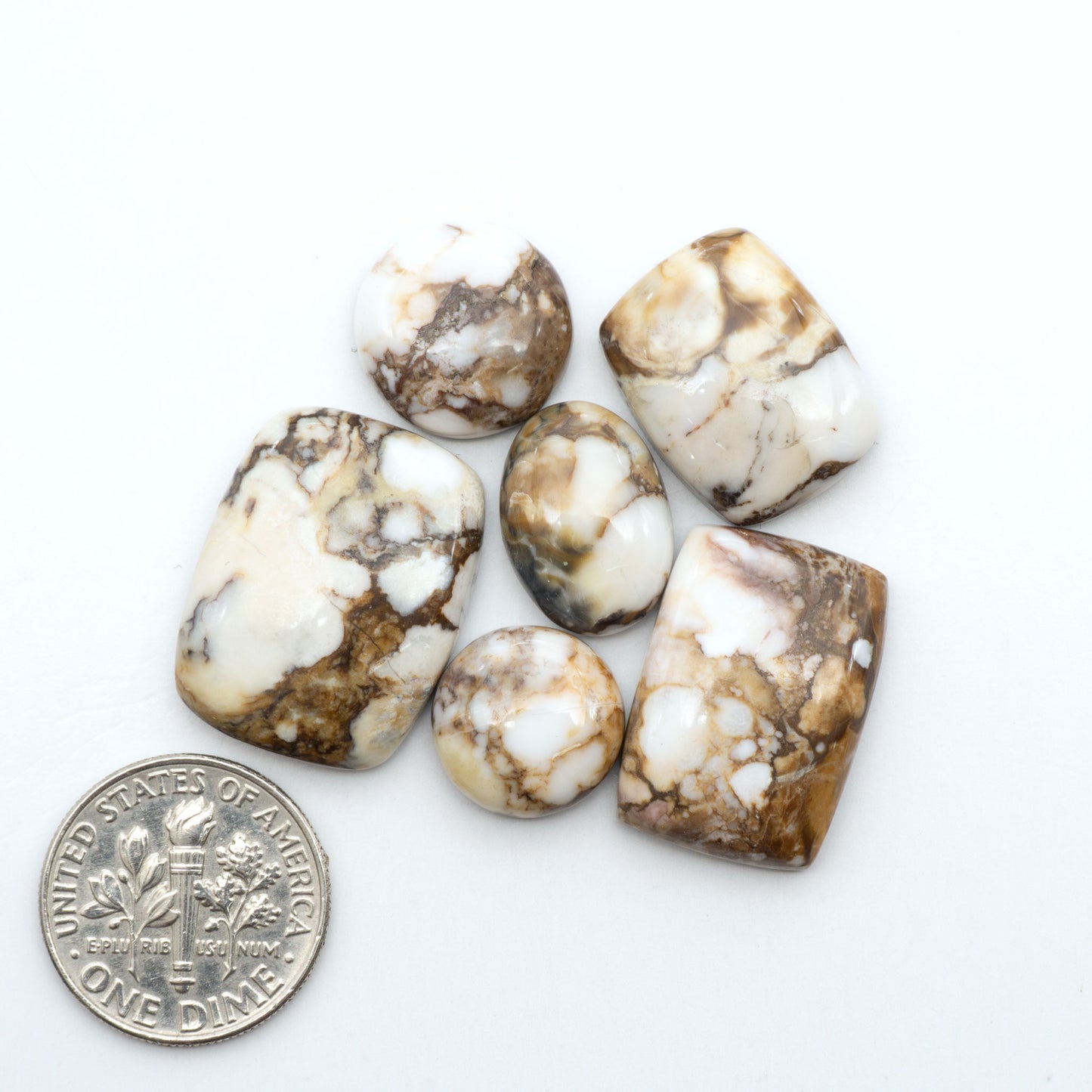 Wild Horse Magnesite cabochons, white gemstones with brown matrix on a white background, with a US dime for scale